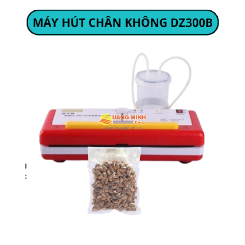 Máy hút chân không DZ300B