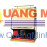 Máy đánh giày Brother Apus A2 Gold