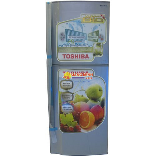 Tủ lạnh 2 cánh Toshiba 175L S19VPPS