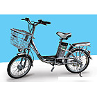 Xe đạp điện Hitasa inox 20