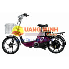 Xe đạp điện Yamaha YDC-H4