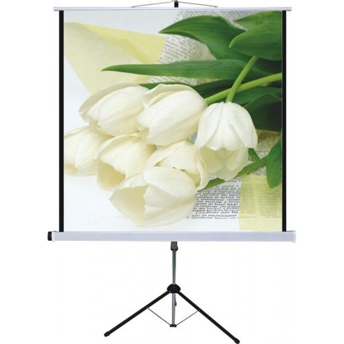 Màn chiếu 3 chân Dalite 120 inches (84