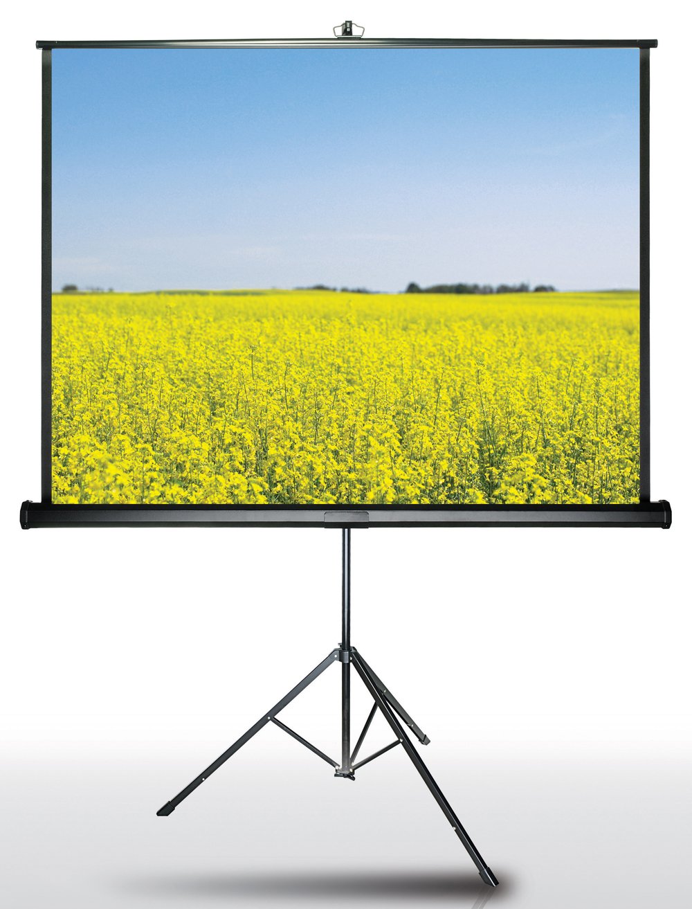 Màn chiếu 3 chân Inox Dalite 100 inches (70
