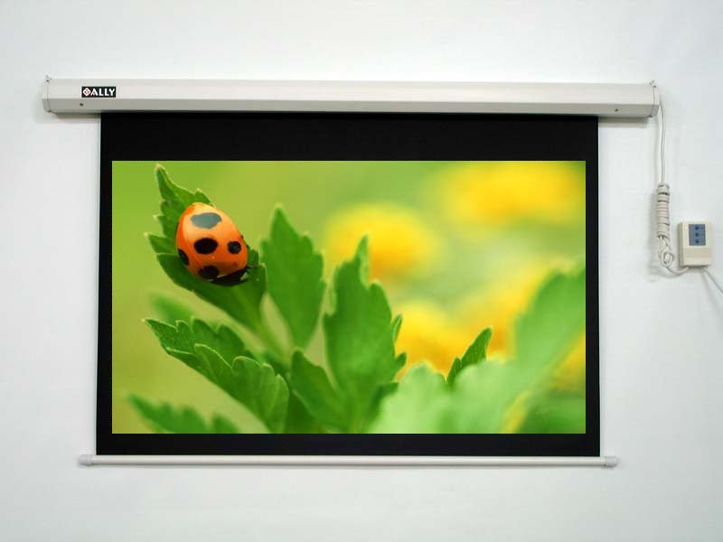Màn chiếu điện Apolo 120 inches (84
